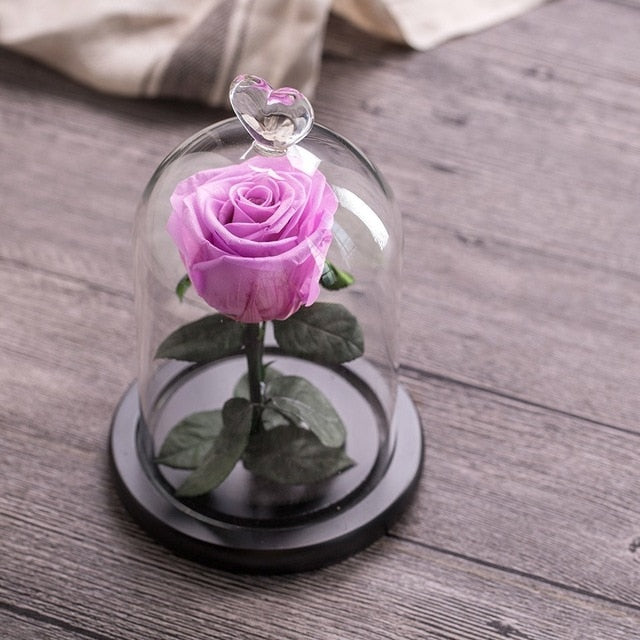 Eternal Rose Glass Black Case Artificial Flower Gift Home Decoration
