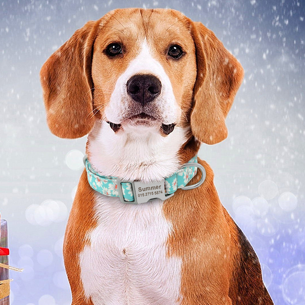 Customized Colorful Pet Collar Engraved ID Name Tag