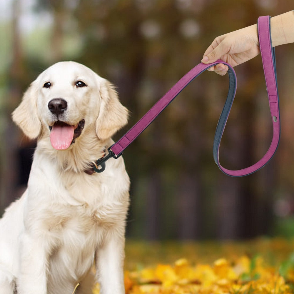 Leather Custom Personalized Pet Tag ID Name Collar/Leash