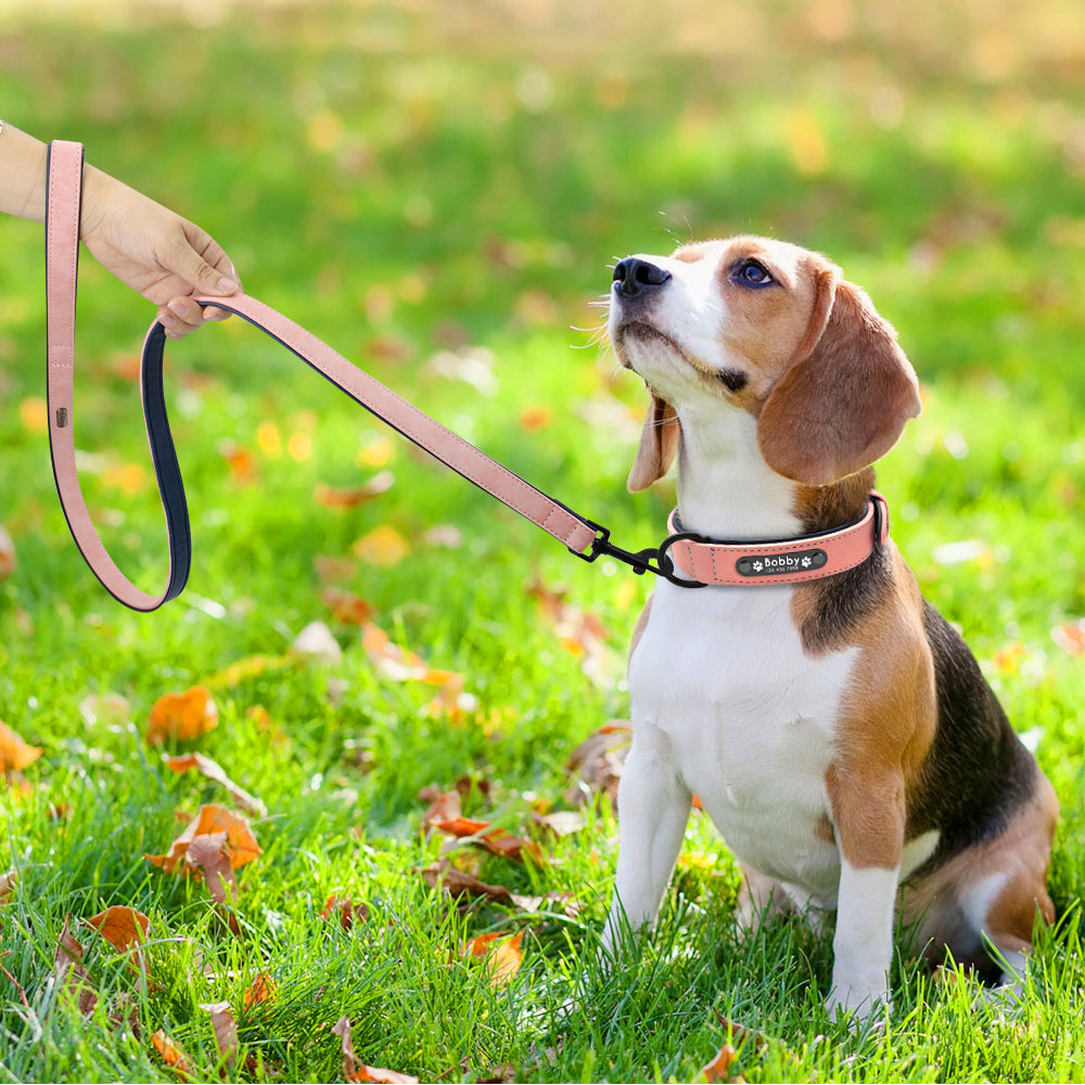 Leather Custom Personalized Pet Tag ID Name Collar/Leash