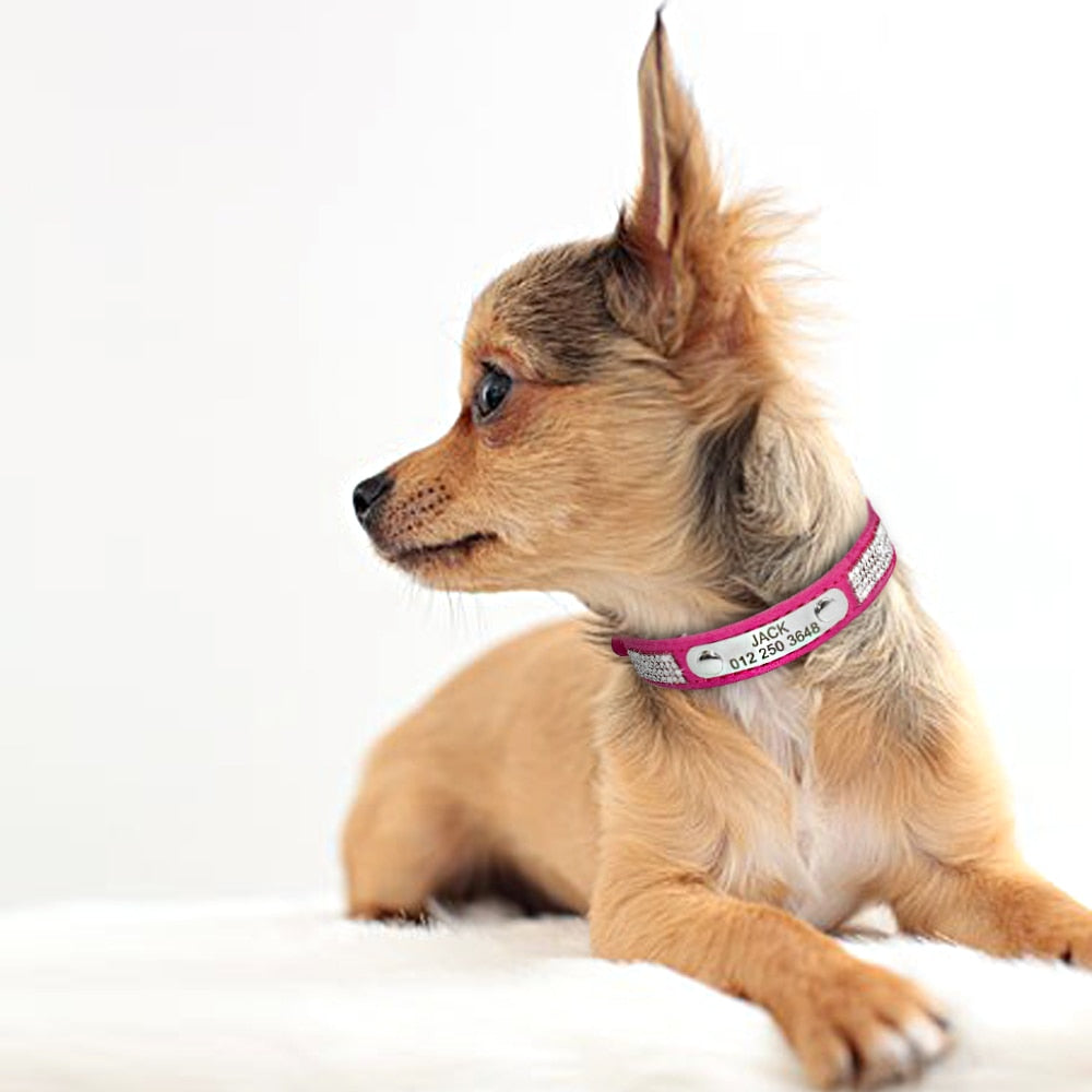 Engraved Pet ID Tag Collars Small Cats Dogs