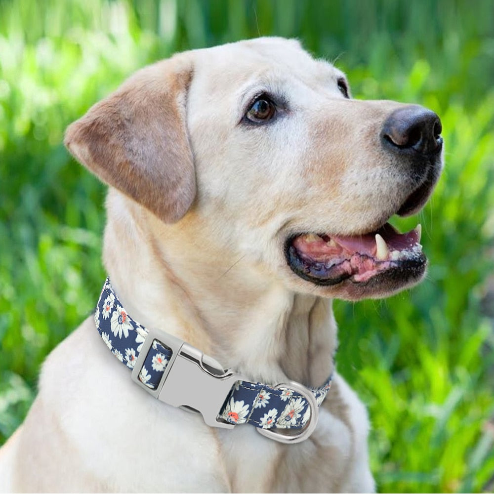 Customized Colorful Pet Collar Engraved ID Name Tag