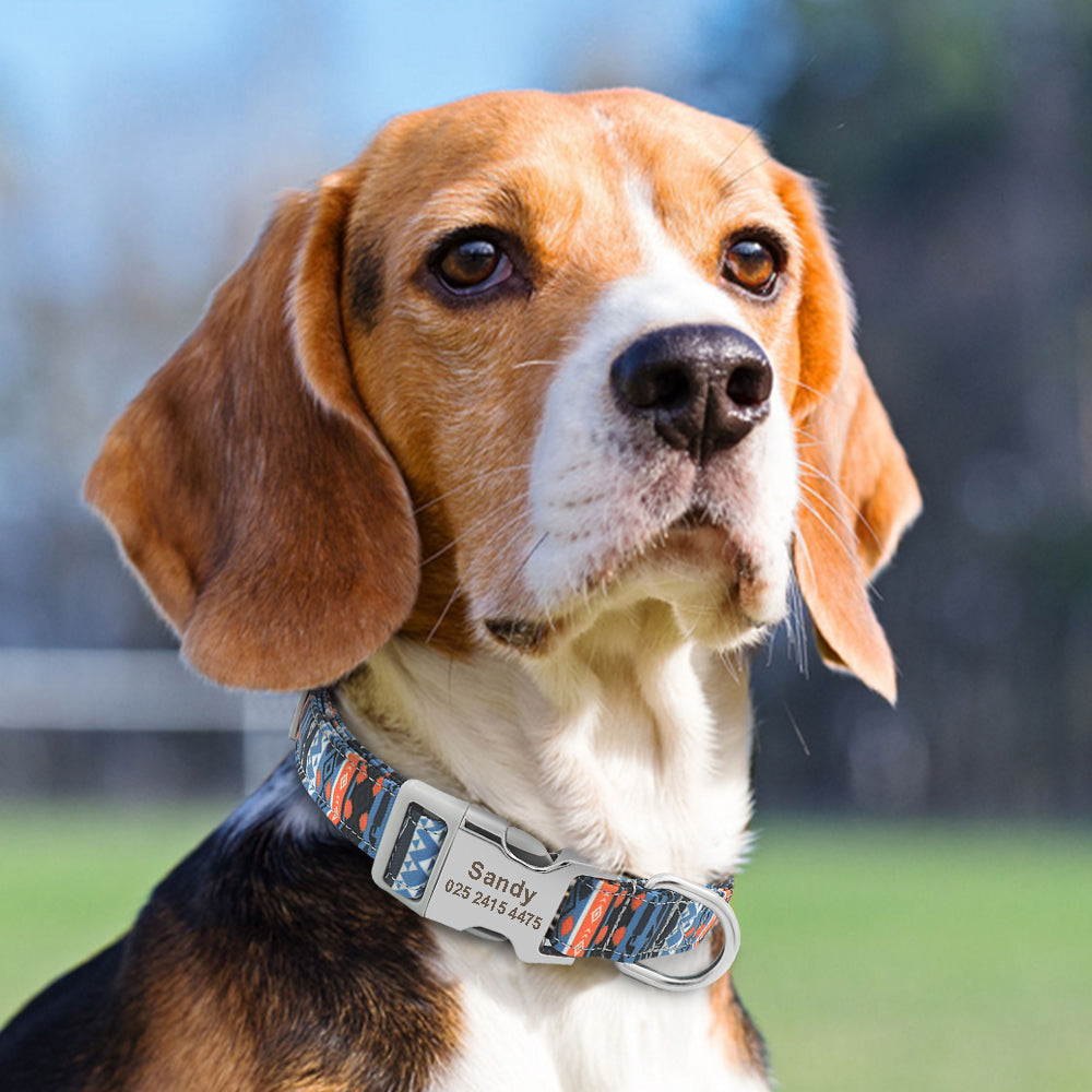 Customized Colorful Pet Collar Engraved ID Name Tag