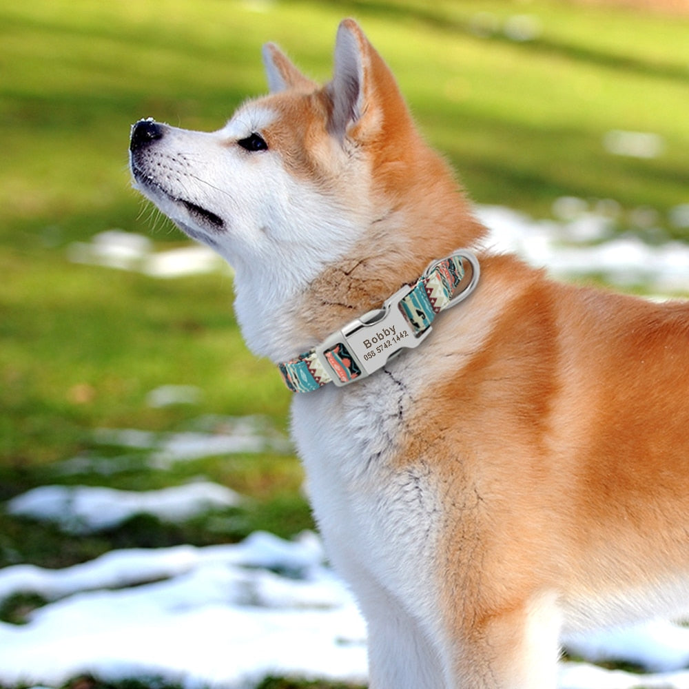 Customized Colorful Pet Collar Engraved ID Name Tag