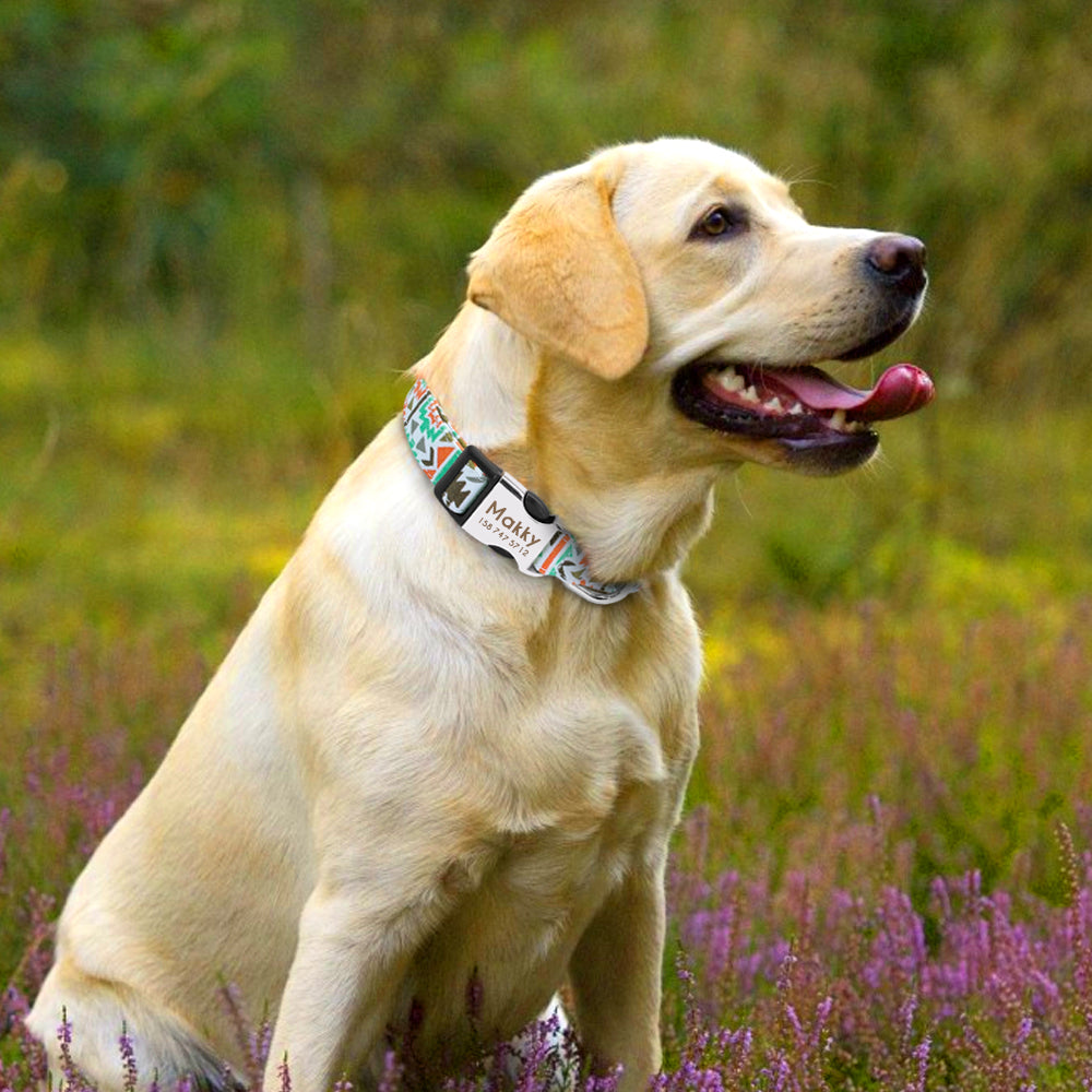 Dog Cat Collar Pet ID Tag Engraved Name Plate