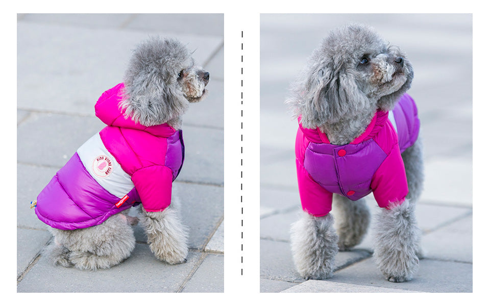 Winter Pet Clothes Dog Jacket Thick Cotton Coat