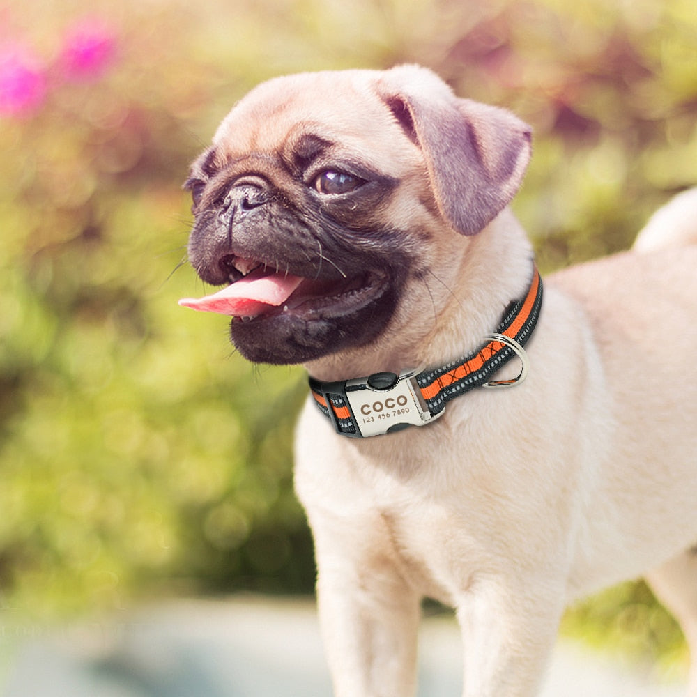Personalized Pet Collar Engraved ID Tag Nameplate