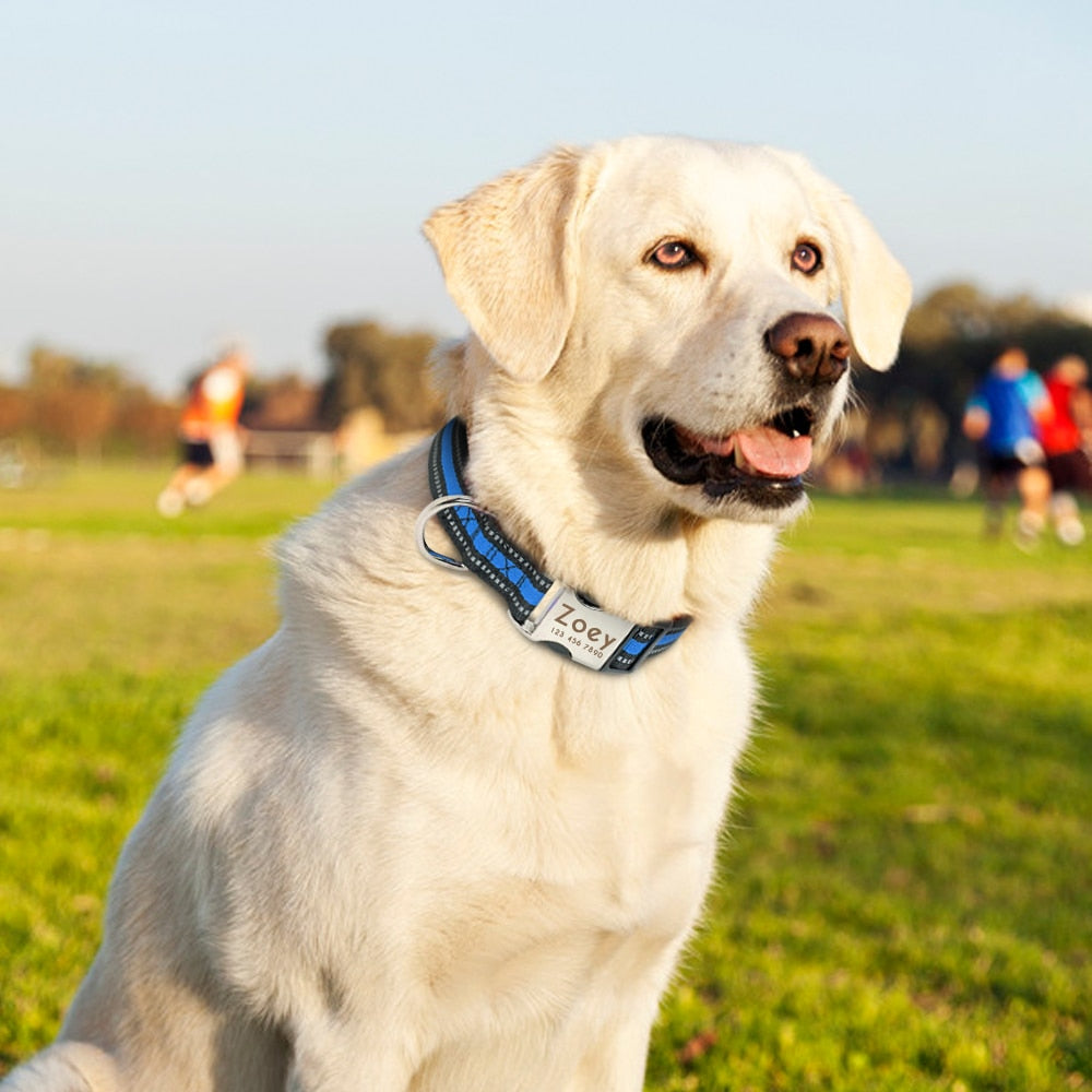 Personalized Pet Collar Engraved ID Tag Nameplate
