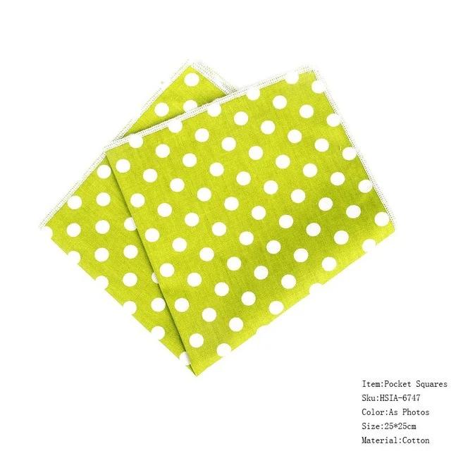Mens Classic Polka Dot Bowtie Gift