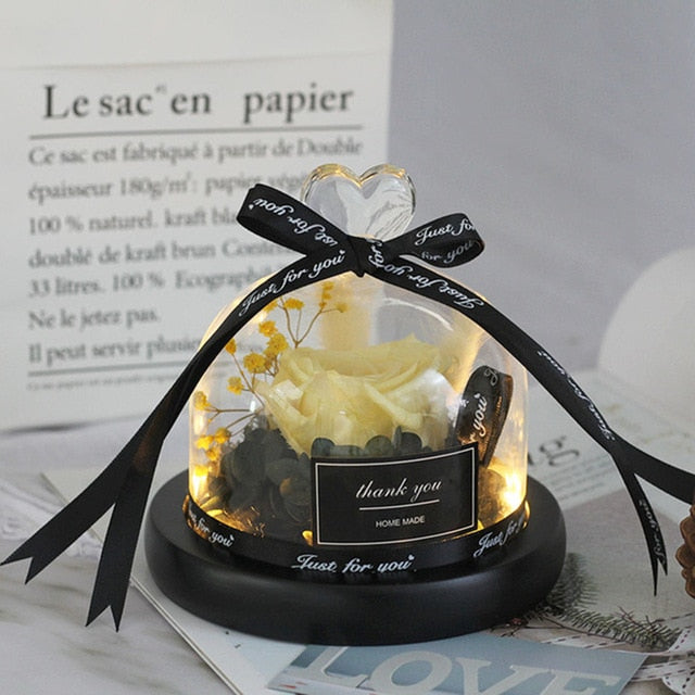 Rainbow Glass Dome Rose LED Beauty Beast Preserved Rose