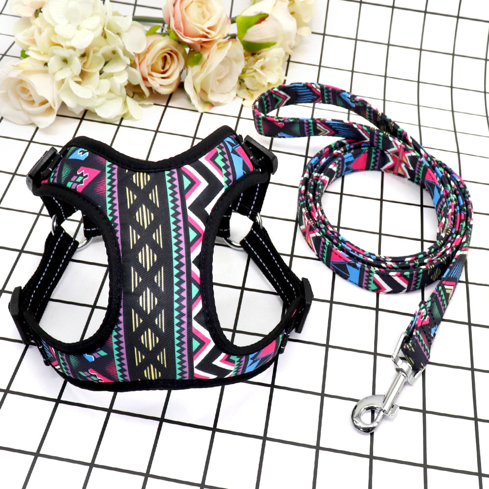 Fashion Printed Vest Reflective Harness Leash Set