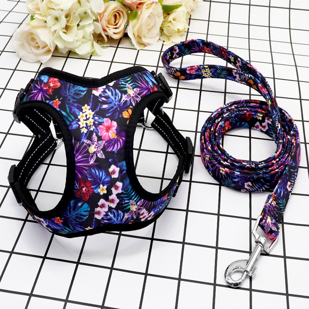 Fashion Printed Vest Reflective Harness Leash Set