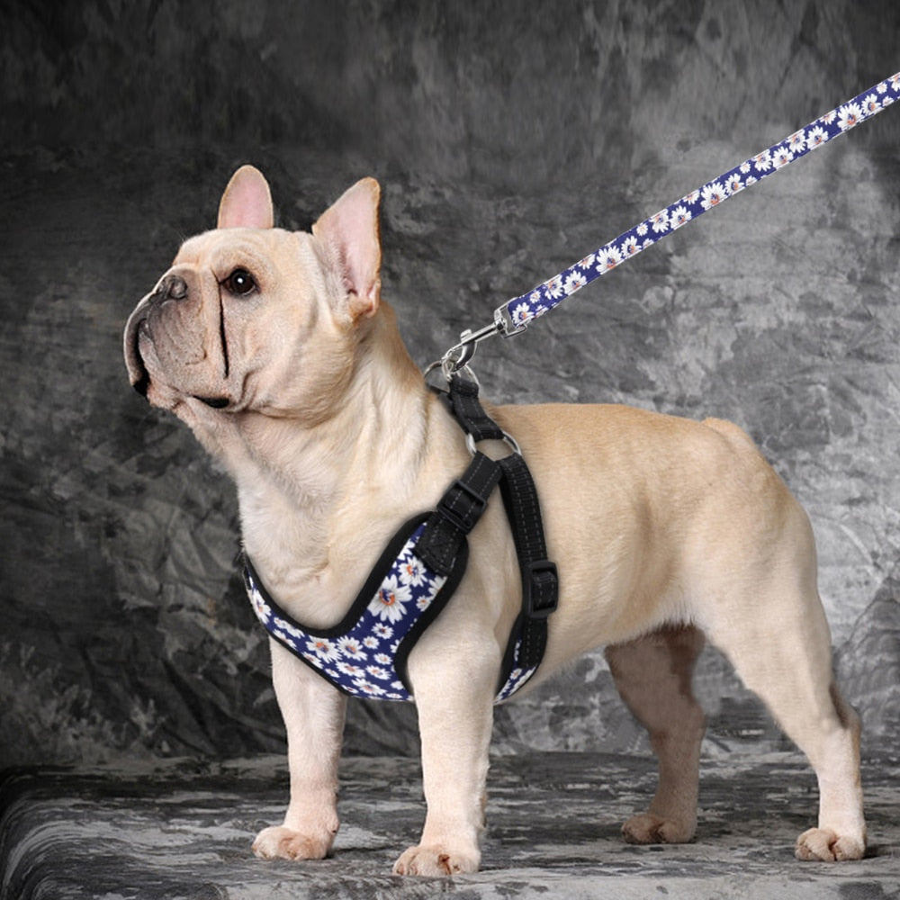Fashion Printed Vest Reflective Harness Leash Set