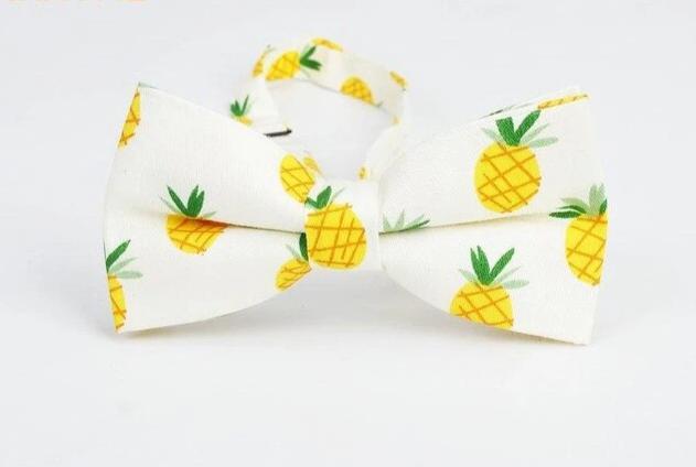 Bowtie Fruits Print Casual Neckwear