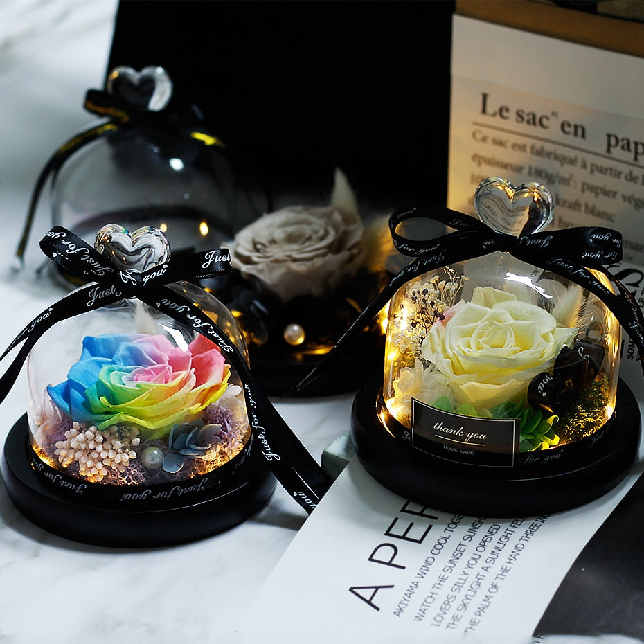 Beauty and Beast Eternal Rose Night Light Glass Dome