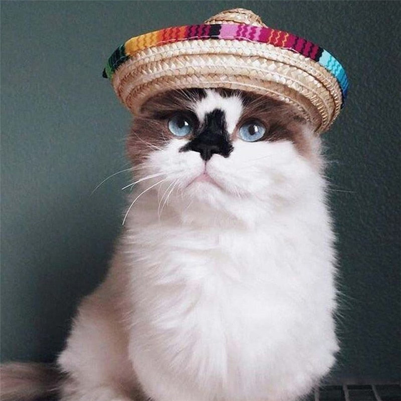 Pet Straw Sombrero Mexican Hat