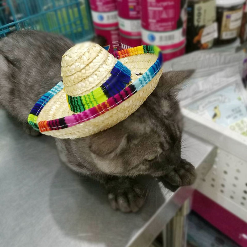Pet Straw Sombrero Mexican Hat