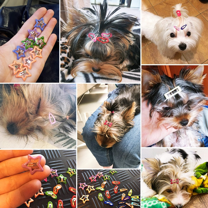 10pcs Bone Heart Star Dog Hairpin Clips