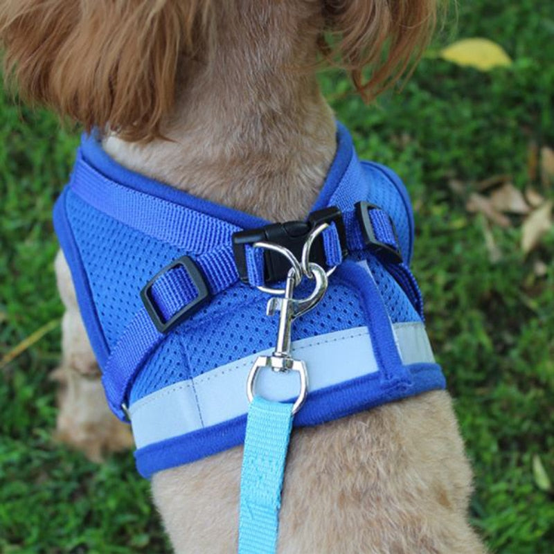 Small Dogs Adjustable Vest Harness with Leash Set