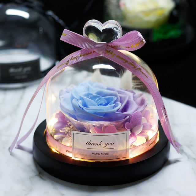 Beauty and Beast Eternal Rose Night Light Glass Dome