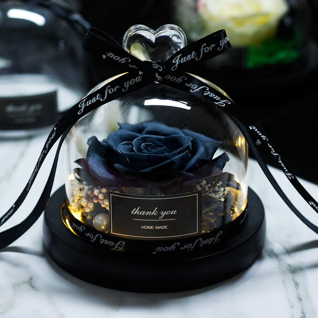 Beauty and Beast Eternal Rose Night Light Glass Dome