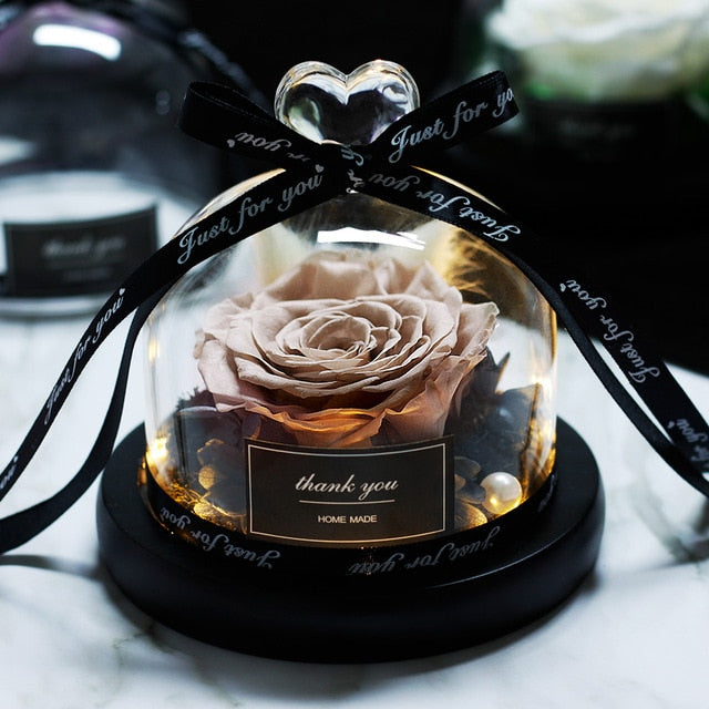 Beauty and Beast Eternal Rose Night Light Glass Dome