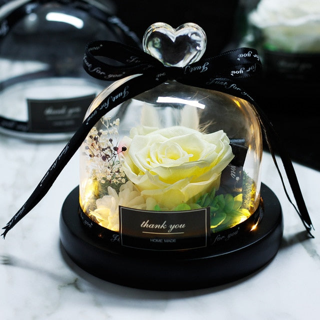 Beauty and Beast Eternal Rose Night Light Glass Dome