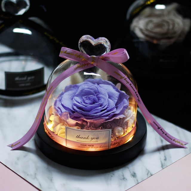 Beauty and Beast Eternal Rose Night Light Glass Dome