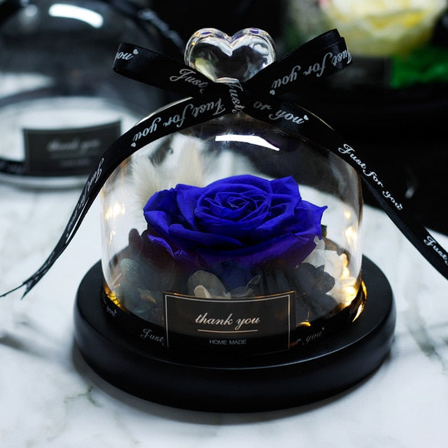 Beauty and Beast Eternal Rose Night Light Glass Dome