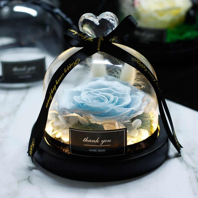 Beauty and Beast Eternal Rose Night Light Glass Dome
