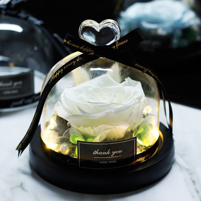 Beauty and Beast Eternal Rose Night Light Glass Dome
