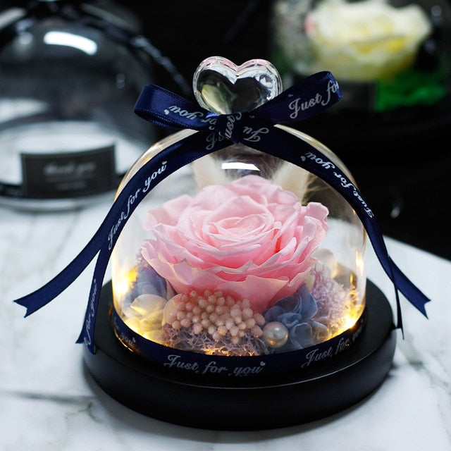 Beauty and Beast Eternal Rose Night Light Glass Dome