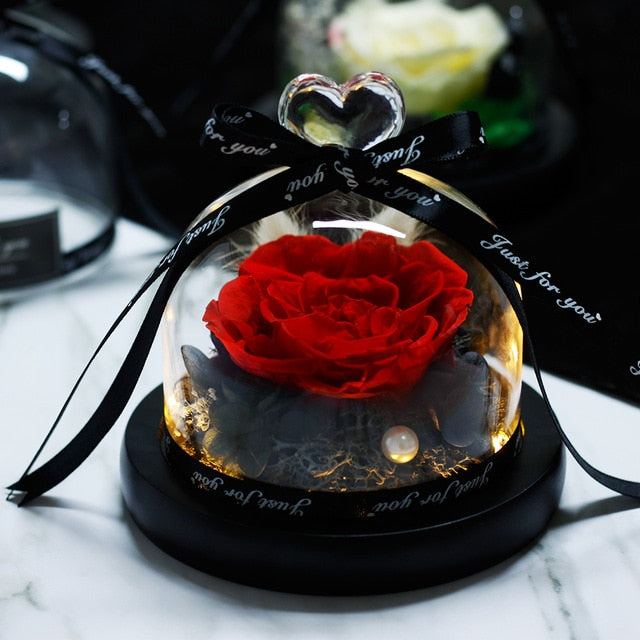 Beauty and Beast Eternal Rose Night Light Glass Dome