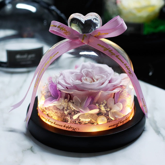 Beauty and Beast Eternal Rose Night Light Glass Dome