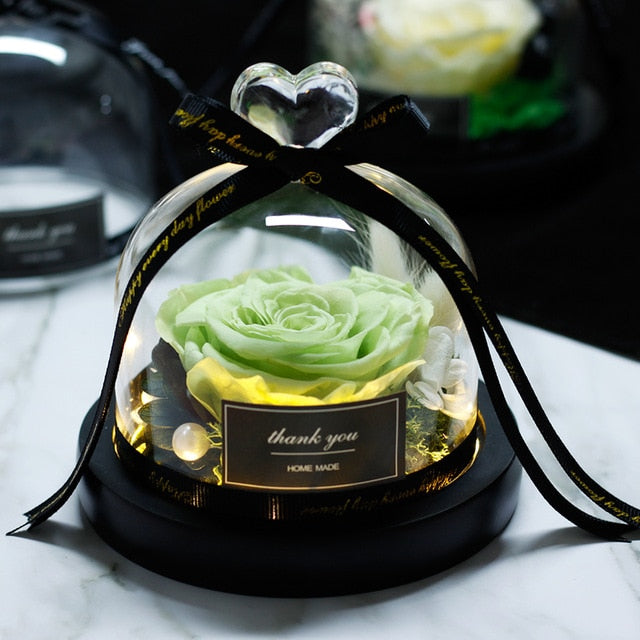 Beauty and Beast Eternal Rose Night Light Glass Dome