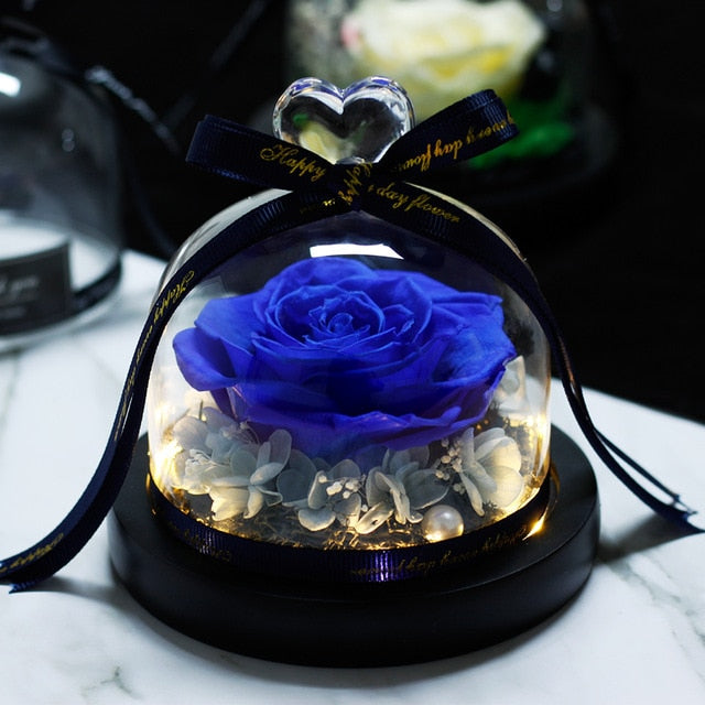 Beauty and Beast Eternal Rose Night Light Glass Dome
