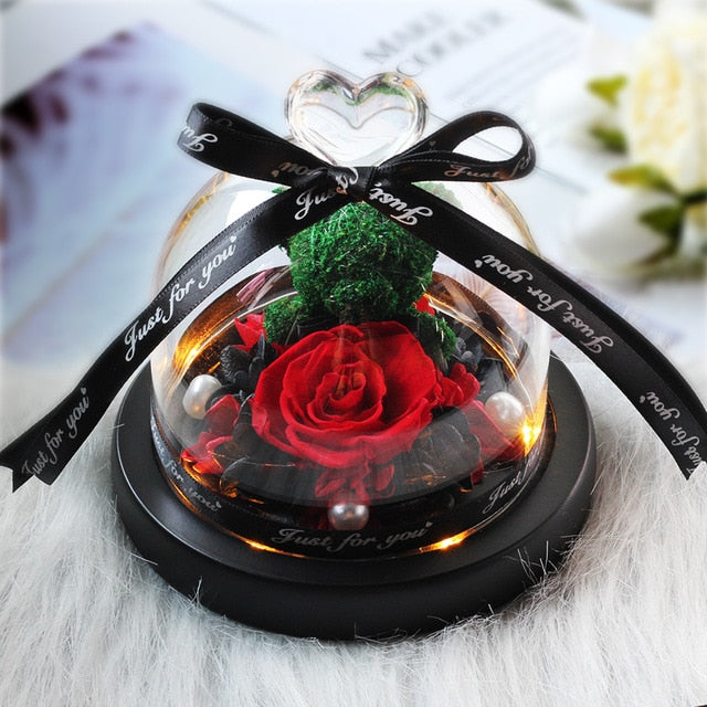 Beauty and Beast Eternal Rose Night Light Glass Dome