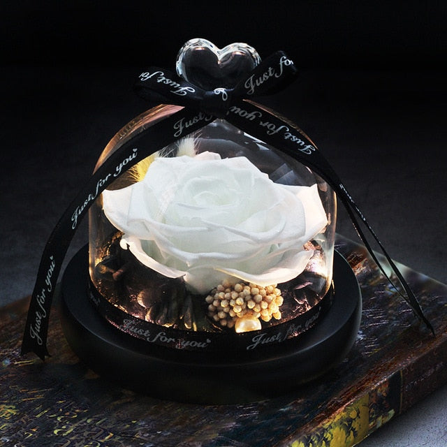 Beauty and Beast Eternal Rose Night Light Glass Dome