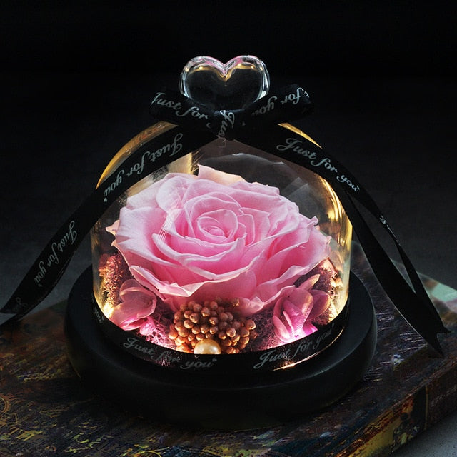 Beauty and Beast Eternal Rose Night Light Glass Dome