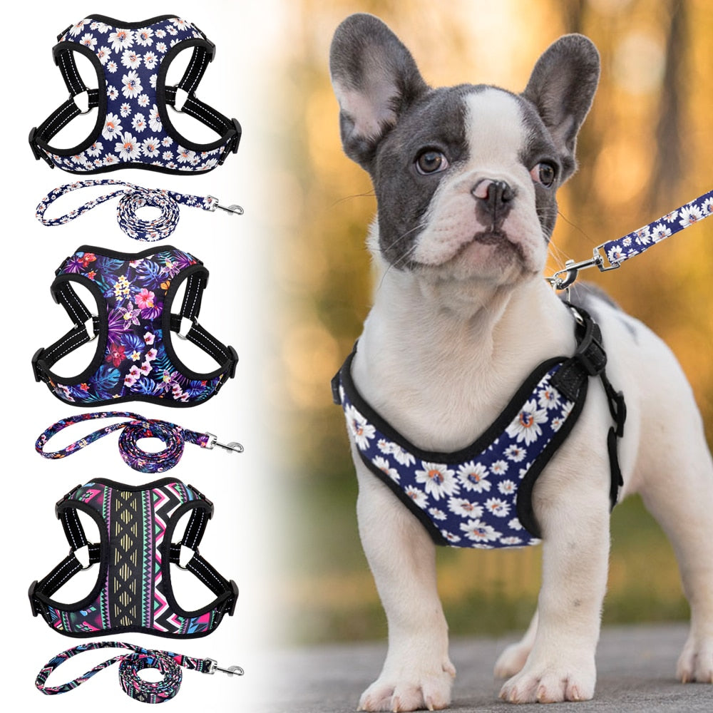 Fashion Printed Vest Reflective Harness Leash Set