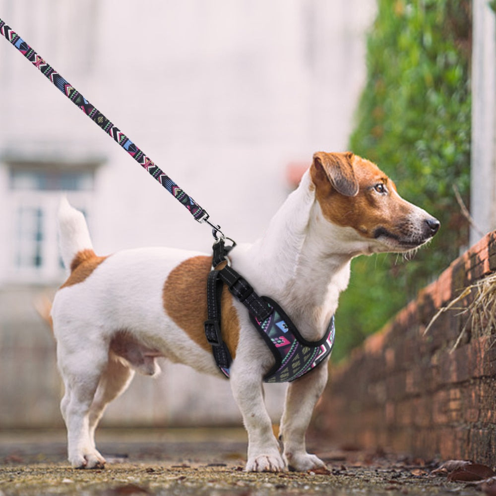Fashion Printed Vest Reflective Harness Leash Set