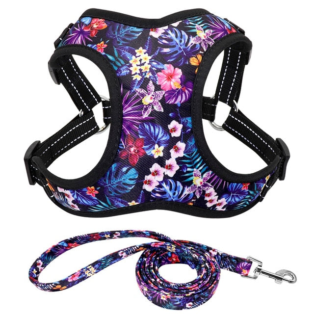 Fashion Printed Vest Reflective Harness Leash Set