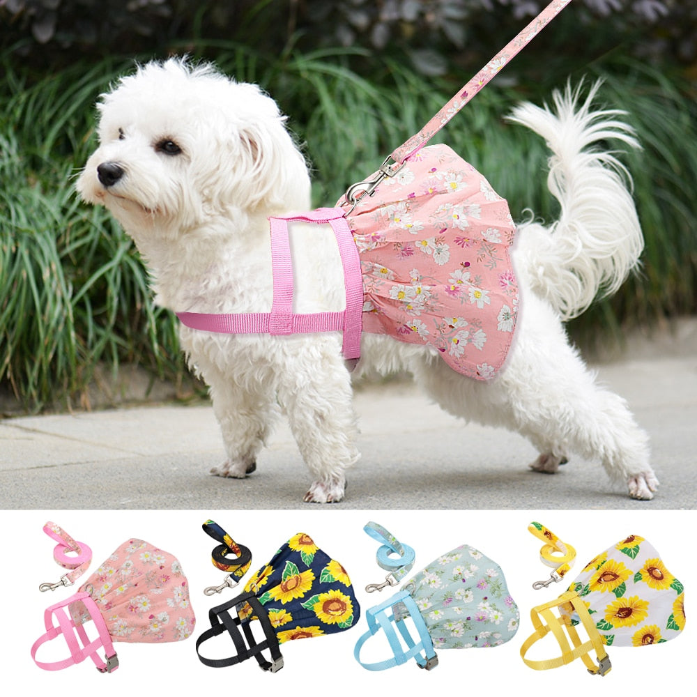 Small Puppy Dress Harness with Leash