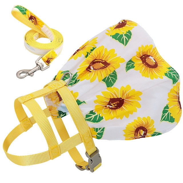 Small Puppy Dress Harness with Leash