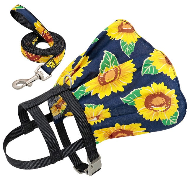 Small Puppy Dress Harness with Leash