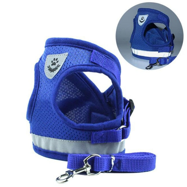 Small Dogs Adjustable Vest Harness with Leash Set