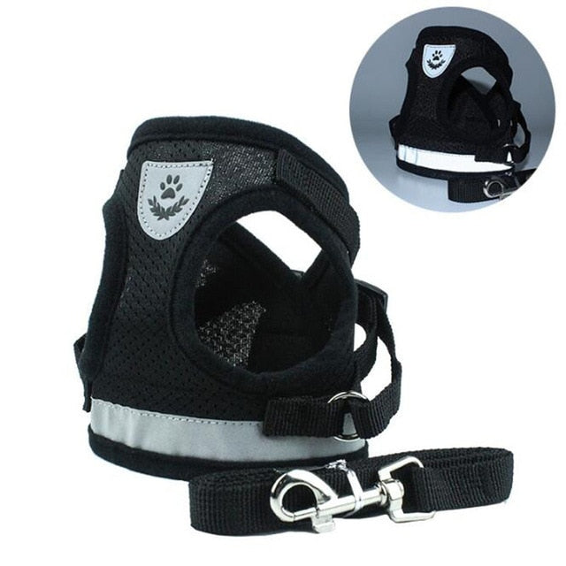 Small Dogs Adjustable Vest Harness with Leash Set