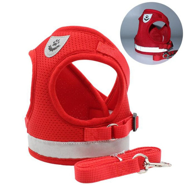 Small Dogs Adjustable Vest Harness with Leash Set