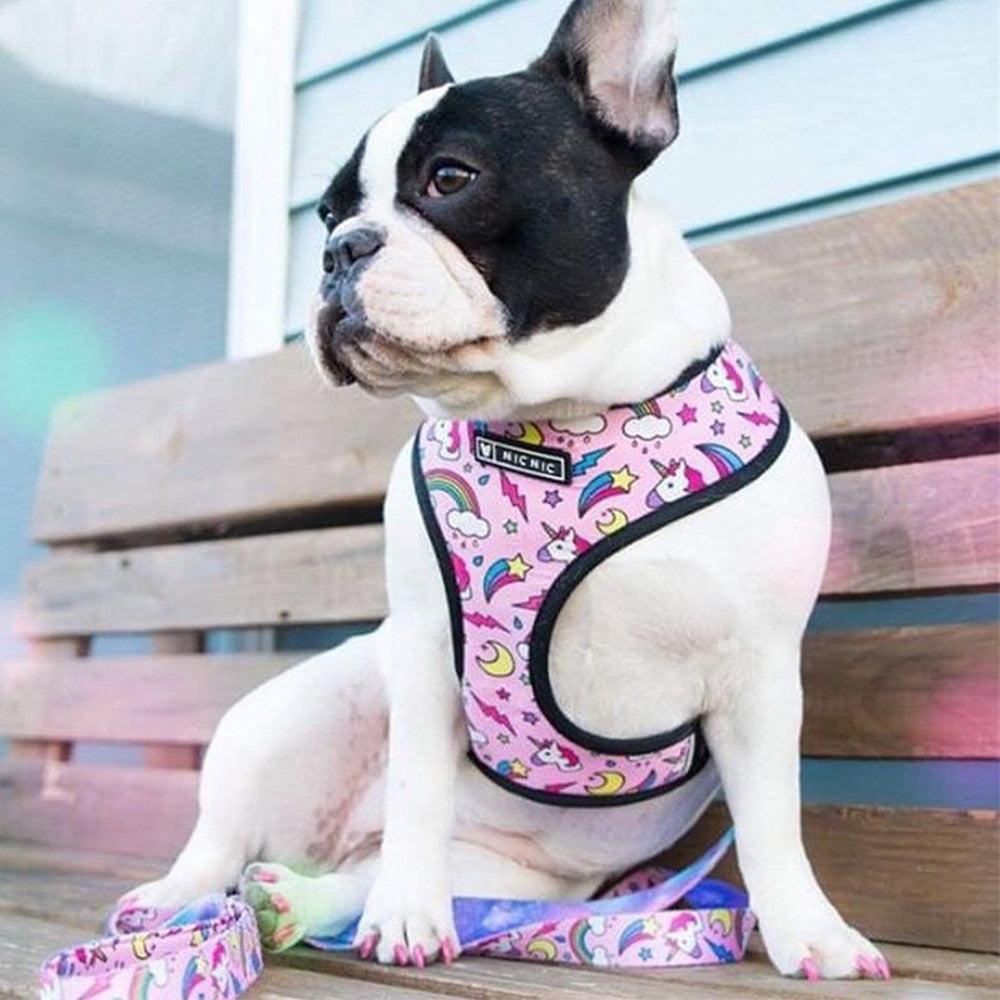 Tropical Vest Harness Leash Set for Small Medium Dogs