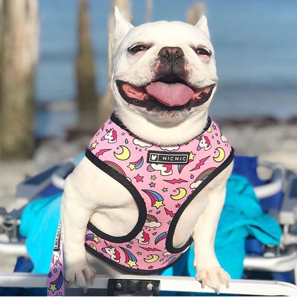 Tropical Vest Harness Leash Set for Small Medium Dogs